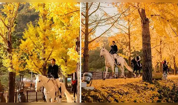 Filtran primeras imágenes del nuevo dorama de Lee Min Ho y causan furor