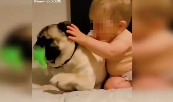 Bebé se ‘pelea’ con su cachorro por quitarle su juguete y escena divierte