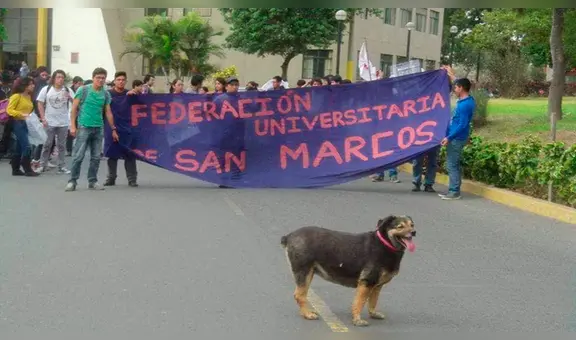 Perrovaca, la mascota 'revolucionaria' de la UNMSM, que ahora marchará en el cielo