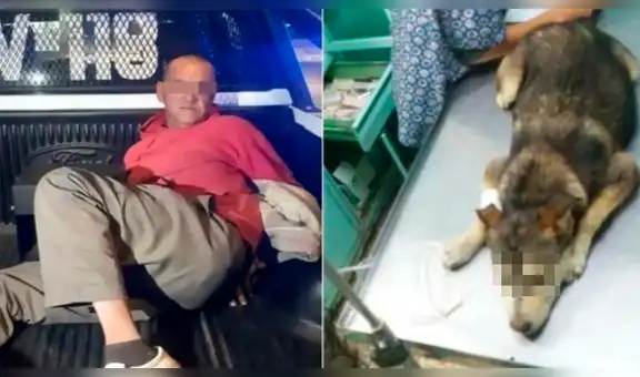 Muere Mati, la perrita que fue violada por un hombre de 53 años [VIDEO]