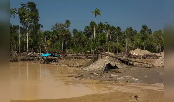 Conoce las consecuencias de los delitos ambientales en el Perú