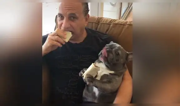 Hombre se rehusaba a tener un perro en casa, pero su hija lo ve en tierna escena con su nueva mascota [VIDEO]