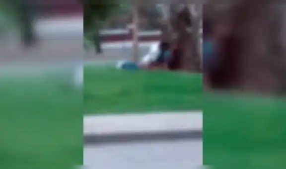 En YouTube, pareja es captada teniendo sexo en pleno parque [VIDEO]