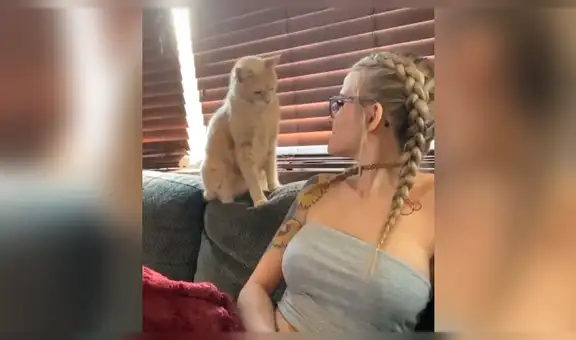 Gato descubre enorme tatuaje de su dueña y realiza insólita acción al tenerlo cerca [VIDEO]