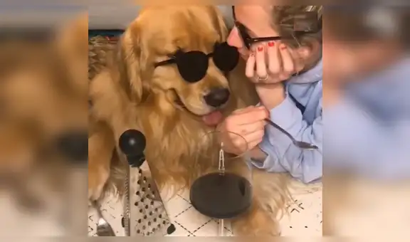 Perro ‘músico’ causa furor en redes al interpretar Stand by me junto a su dueña [VIDEO]