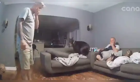 Joven juega con su perro a las ‘chapadas’, sin imaginar que su mesa de vidrio sería destruida [VIDEO]