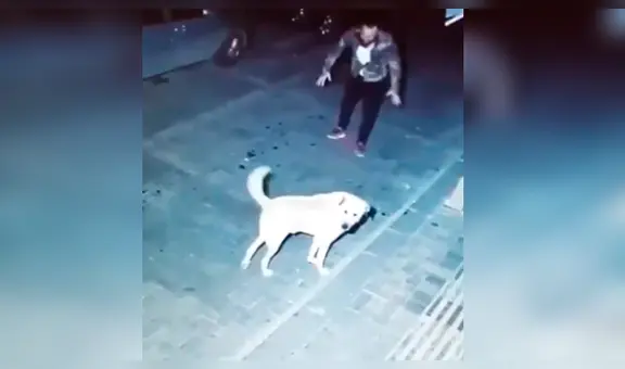 Mujer coloca una cámara de seguridad y descubre lo que hacen su perro y vecino durante la madrugada [VIDEO]