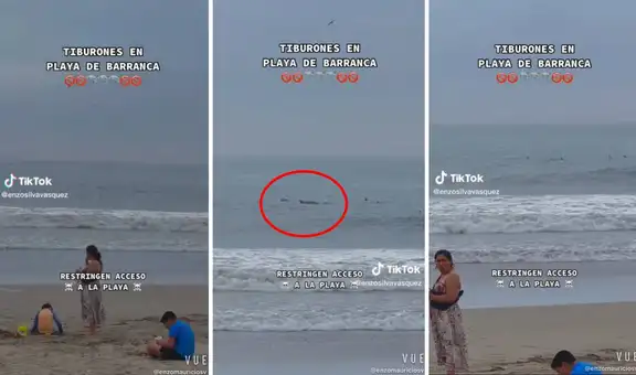 Captan supuestos tiburones en una playa de Barranca y usuarios quedan en shock
