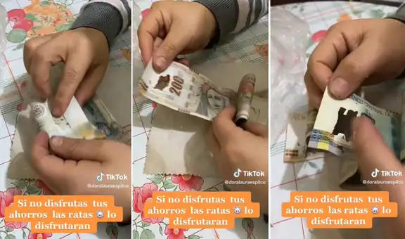 Joven descubre que una rata se comió sus ahorros y se lamenta por no haberlo gastado antes