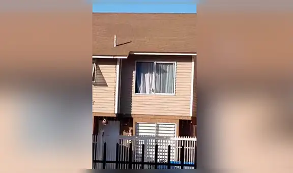 Busca a su perrita extraviada por todos el vecindario, sin imaginar que el can esta en casa de su vecina [VIDEO] 