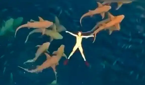Mujer se graba nadando junto a decenas de tiburones en Maldivas