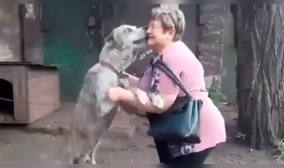 Facebook viral: perro tiene conmovedora reacción al ver a su cuidadora, luego de dos años [VIDEO]