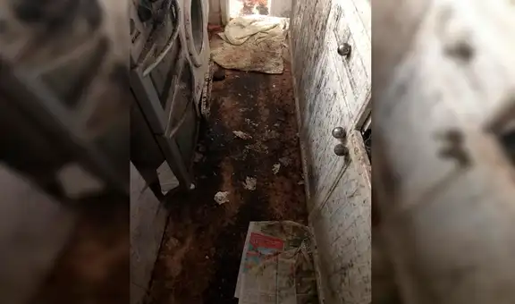 Hombre dejó de limpiar su casa hace 12 años y las increíbles imágenes sorprende a miles [FOTOS]