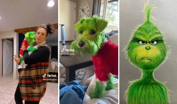 Joven pinta a su perrito de verde para que se parezca al Grinch y los usuarios la critican