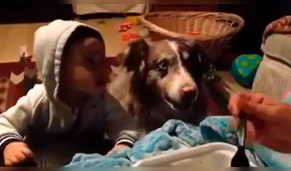 Intenta hacer que bebé diga “mamá”, pero su perro se adelanta y lo dice primero [VIDEO]