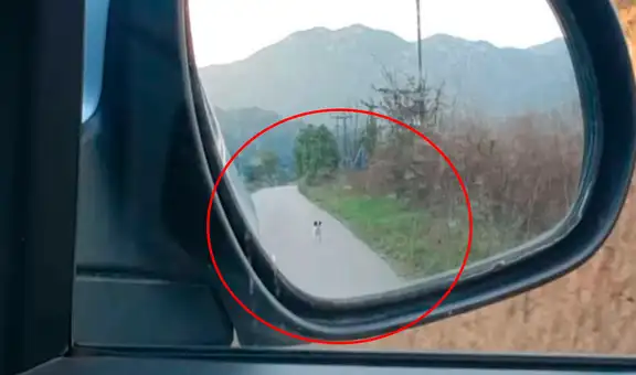 Perro sin hogar corre detrás de un auto para que joven lo rescate 	