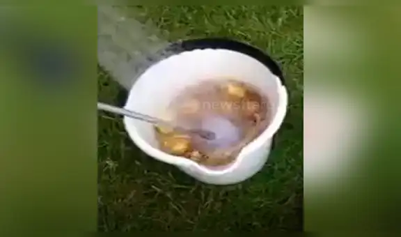 El curioso truco para pelar decenas de papas en tan solo unos segundos [VIDEO] 