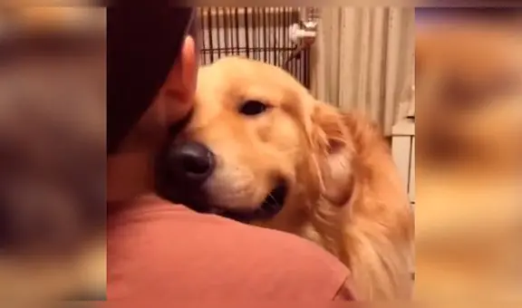 Perro tiene tierno reencuentro con su dueña tras pasar varias semanas sin verse por la cuarentena [VIDEO]