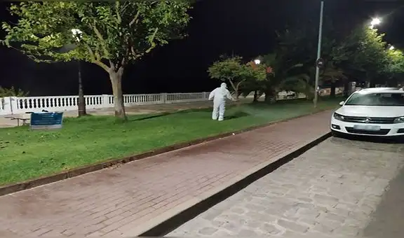 España confirma 13 casos del virus del Nilo Occidental por brote de meningoencefalitis