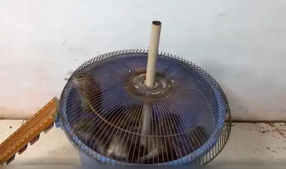 Hombre fabrica ingeniosa trampa para ratas que agarra al roedor, pero no lo mata [VIDEO]