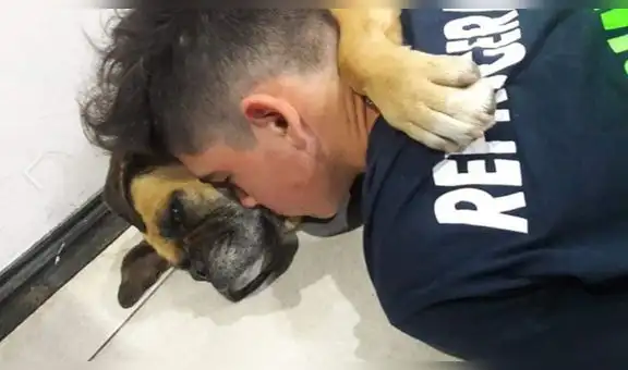 La triste historia de una perrita que murió en brazos de su dueño por la pirotecnia 