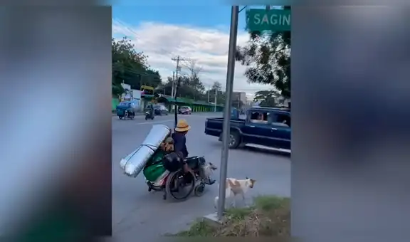 Perros ayudan a su dueño en silla de ruedas a recorrer una concurrida vía [VIDEO]