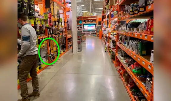 ¿Logras hallar a un perro escondido entre los estantes de este reto visual? 