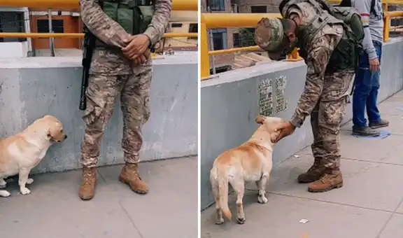 Perro callejero se encariña con soldado que hacía sus rondas y lo sigue a todos lados [VIDEO]   