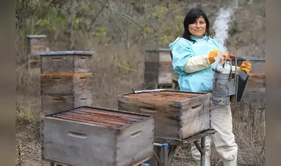 Guardiana de las abejas