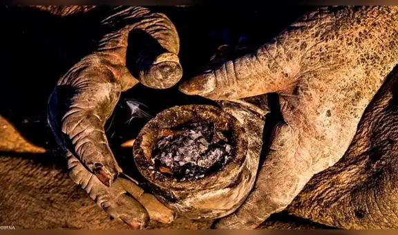 Ermitaño decidió dejar de bañarse hace más de 60 años y ahora luce así [FOTOS]
