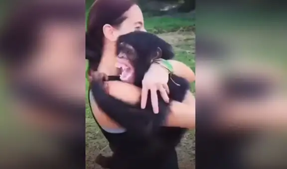 Mono vuelve a ver a la mujer que lo cuidó de bebé y juntos protagonizan emotiva escena [VIDEO]