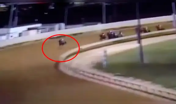 EE. UU.: estaba a punto de ganar y caballo abandonó la competencia en la última vuelta [VIDEO]
