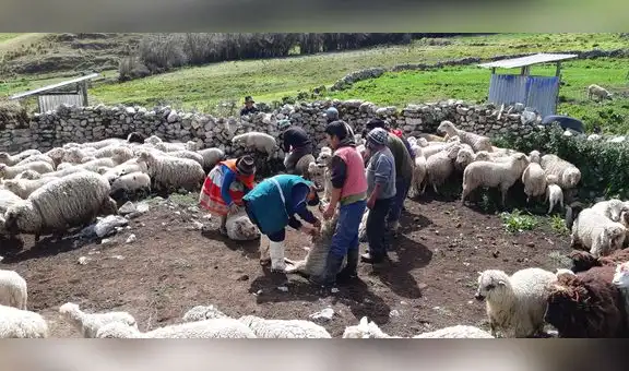 Pobreza: en Uchuraccay casi todos viven con menos de 300 soles al mes