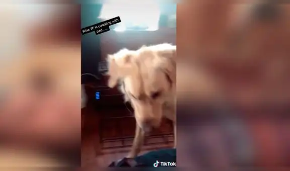 Perro descubre a su dueño durmiendo con otro can y protagoniza dramática escena [VIDEO]