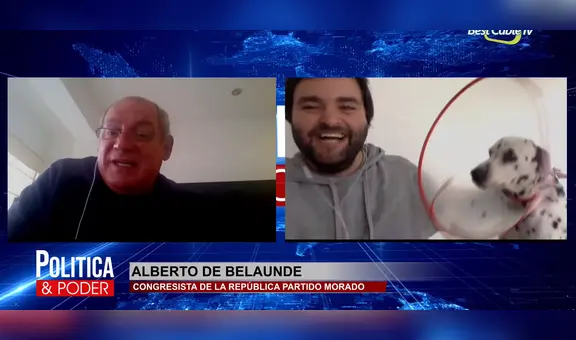 Congresista Alberto de Belaunde es interrumpido por un perro en plena videoconferencia [VIDEO]