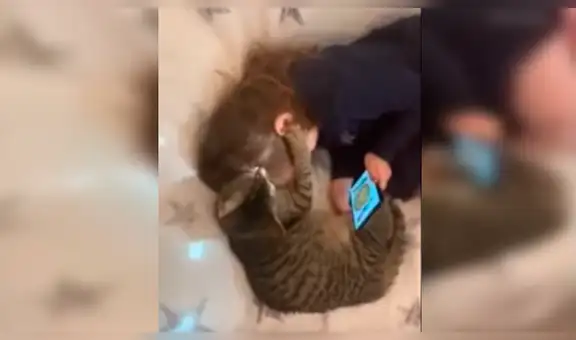 Gato es ignorado por su dueña y se venga llamando su atención con peculiar conducta [VIDEO]