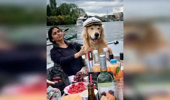 Perro celebra con sus veterinarios el final de su tratamiento de radioterapia [VIDEO] 