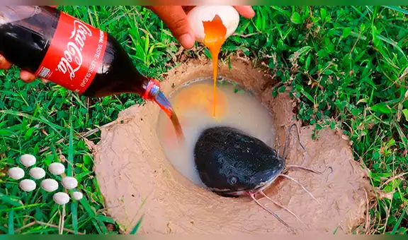 Arroja Coca Cola y Mentos en un extraño agujero y en segundos surgen enormes peces [VIDEO]