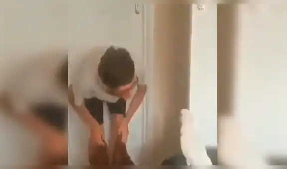Facebook: Cacatúa tiene un insólita reacción al ver un increíble truco de magia de su dueño [VIDEO]