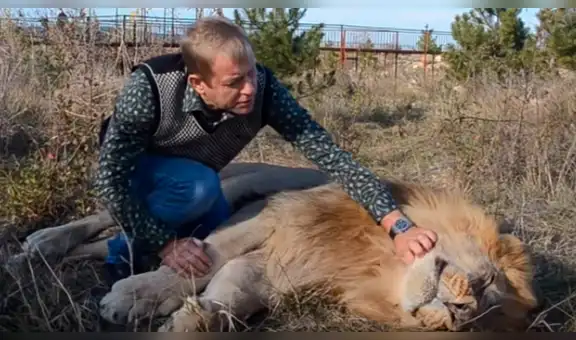 YouTube viral: guía de turistas se lleva el susto de su vida al encontrar a enorme león 'muerto' [VIDEO] 