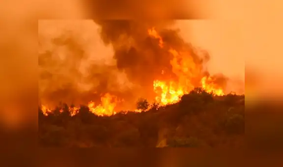 Incendios forestales severos son pronosticados en regiones de EE.UU.