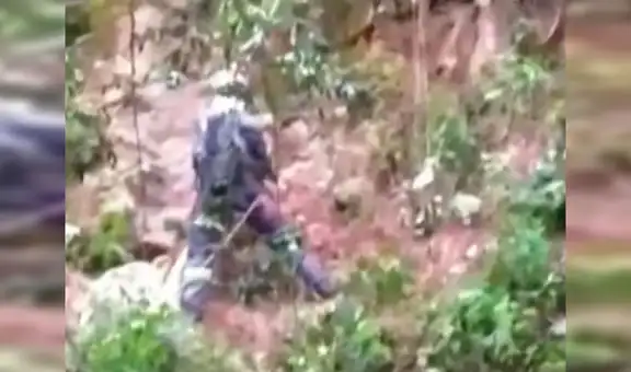 Bomberos salvan la vida de una perrita que permaneció al borde de un precipicio [VIDEO] 