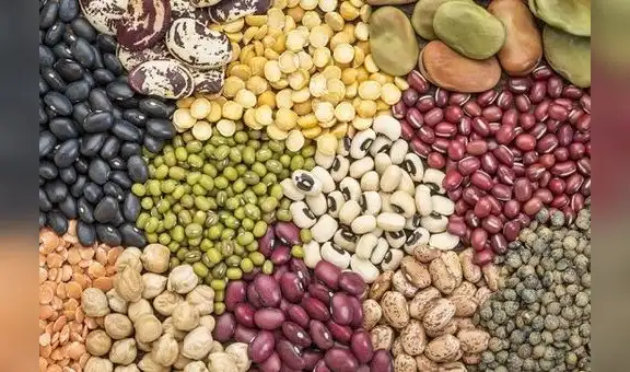 Día mundial de las legumbres: consumo per cápita en Perú está por debajo de lo que recomienda la OMS