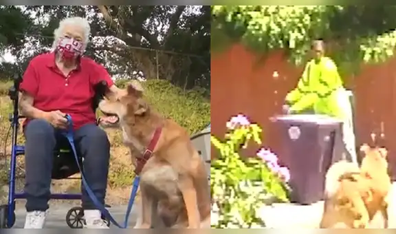 Perrita pide ayuda a reciclador para que auxilie a su dueña que sufrió un accidente [VIDEO]