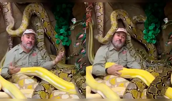 Facebook: hombre arriesga su vida al grabarse rodeado de temibles serpientes [VIDEO]