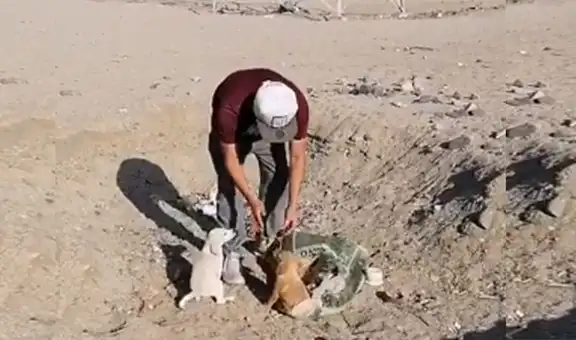 Encuentra a cachorros abandonados en basural y decide adoptarlos 