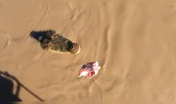 Pescadores navegan en río y se encuentran con una enorme criatura [VIDEO] 