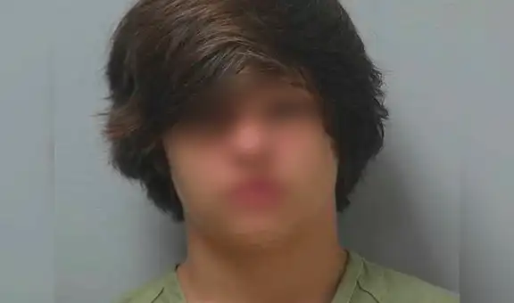 El menor que mató a su bisabuela para robarle dinero en complicidad con su mejor amigo