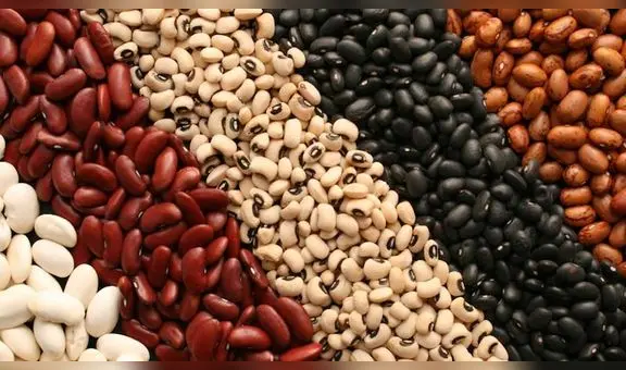 Menestras peruanas: ¿cuáles son sus beneficios y por qué es importante su consumo?