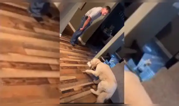 Hombre llama a su perro para regañarlo por ‘travesura’ y este tiene graciosa reacción [VIDEO]